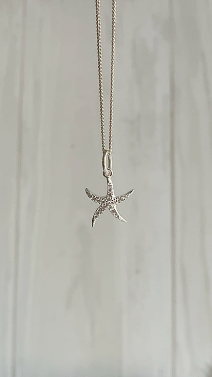 Cadena Dije Estrella de Mar - Plata 925