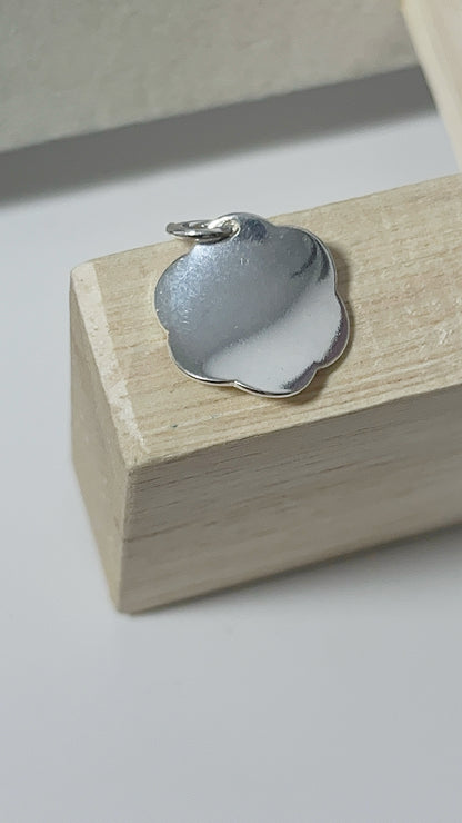 Dijes Pequeños Variados Plata 925