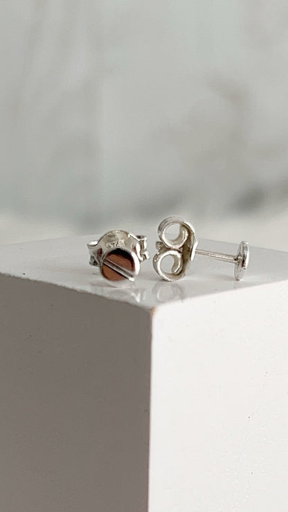 Zarcillos  4mm - Plata 925